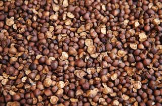 Гречка формирует основу вкуса и текстуры капустного рулета — Едим Дома