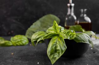 Корнеплоды плохо формируются при выращивании на подоконнике — Антонов Сад