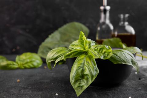 Корнеплоды плохо формируются при выращивании на подоконнике — Антонов Сад