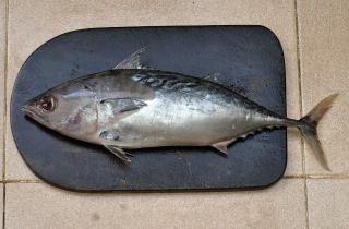 Двойная обёртка создаёт эффект томления при запекании тунца — Едим Дома