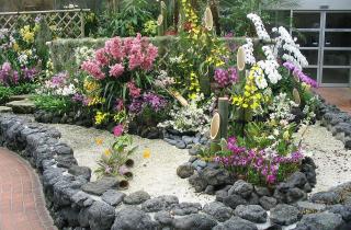 Каменистый сад строится на сочетании камней и засухоустойчивых растений — ландшафтные дизайнеры