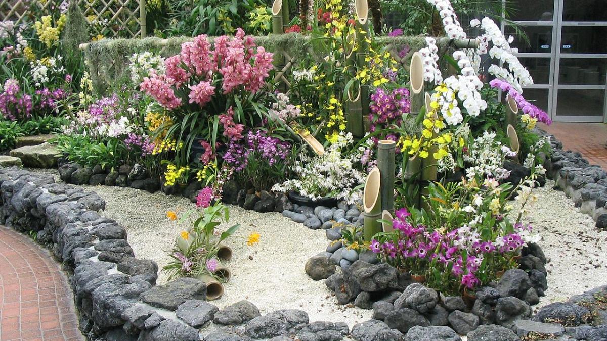 Орхидеи в ботаническом саду в Киото