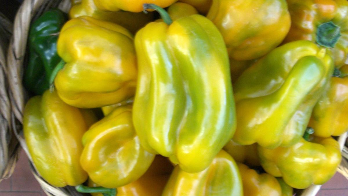 Желтый болгарский перец