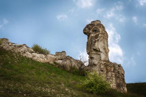 Тайна зеркальных столбов: успеем ли мы раскрыть её, пока не станет слишком поздно