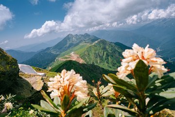 В горах Сочи начнут внедрять зеленые стандарты в туризме