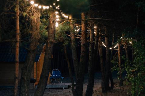 Республика Коми вошла в проект Светоцветовая среда — ИА Комиинформ