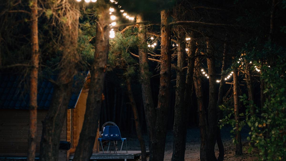 освещение сада