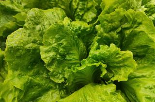 Все шефы делают это: вялый салат оживает за 5 минут, если применить этот секретный приём