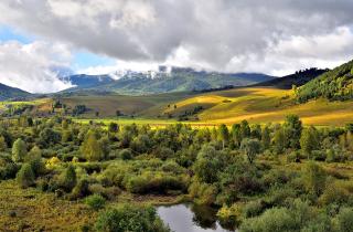 Представляю зелёный луг перед сном — просыпаюсь спокойной и выспавшейся