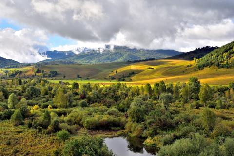 Представляю зелёный луг перед сном — просыпаюсь спокойной и выспавшейся