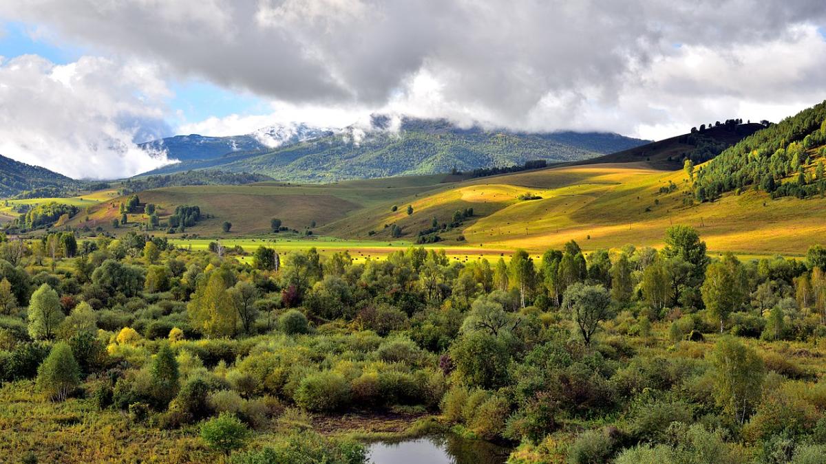 Виды Белокуриха