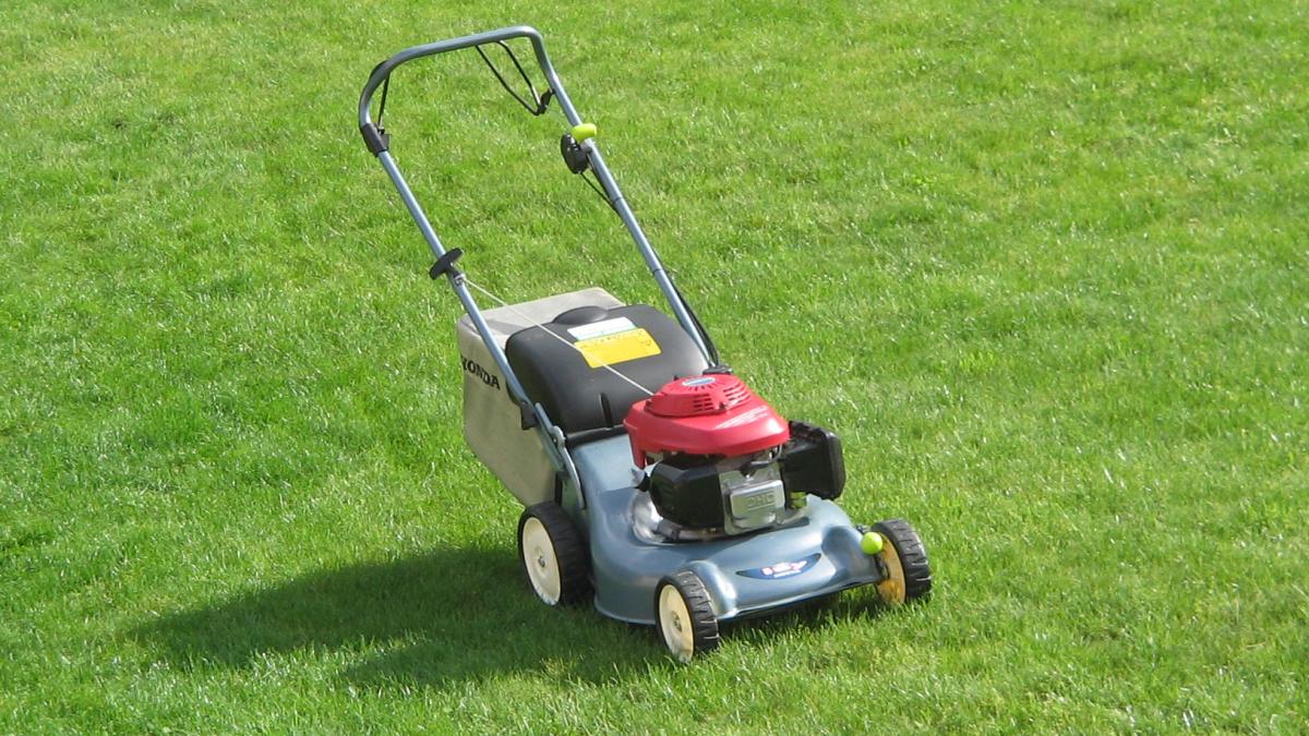 Скарификатор