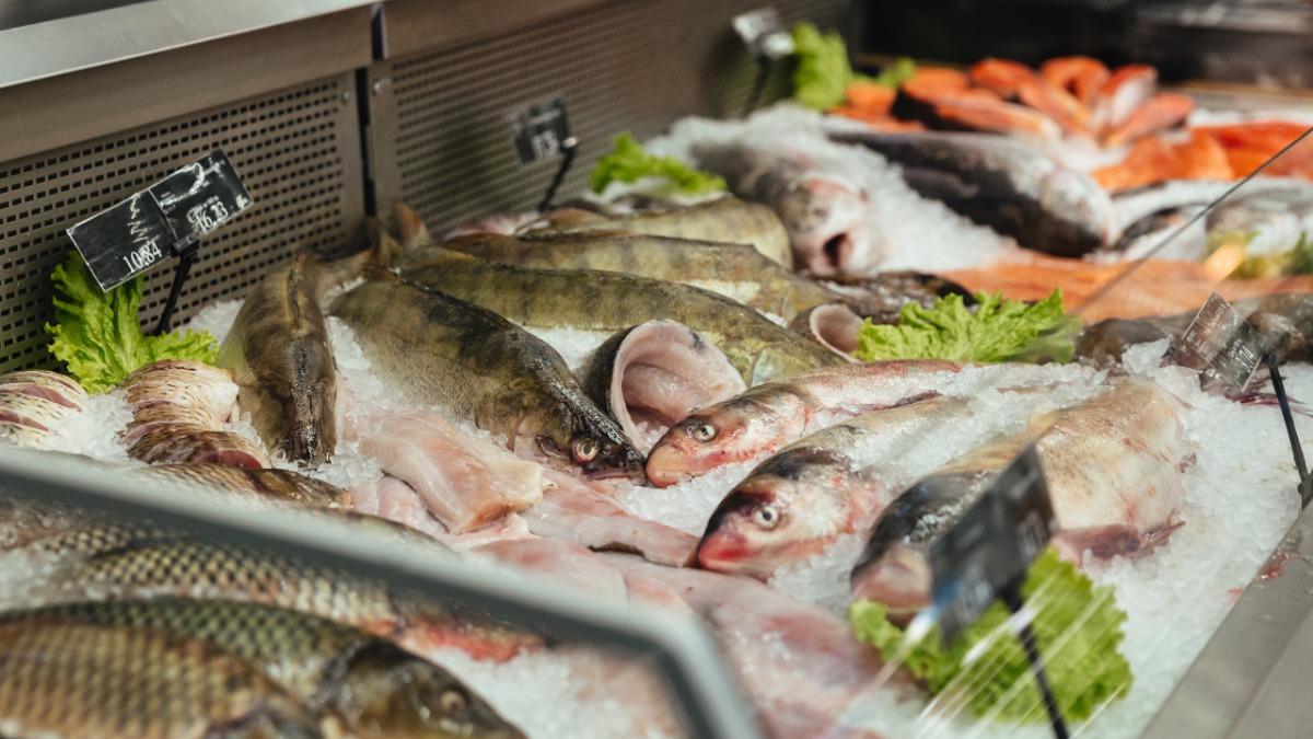 свежая рыба