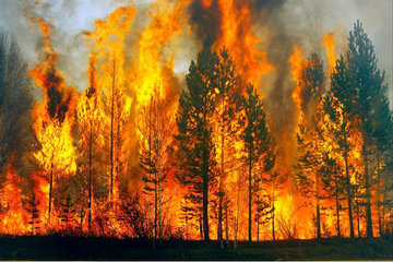 Лесные пожары в Якутии распространились более чем на 1,2 млн гектаров