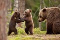 Новая девятая планета, озеро на Марсе и другие последние научные открытия Новая девятая планета, озеро на Марсе и другие последние научные открытия