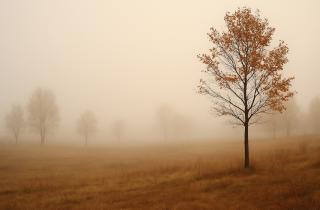 Когда слова становятся лишними: почему тишина в XXI веке звучит громче любого высказывания Когда слова становятся лишними: почему тишина в XXI веке звучит громче любого высказывания
