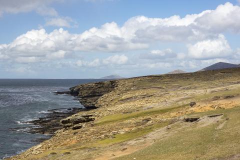 Фолклендские острова запустили платформу для переселения ThinkFalklands.com