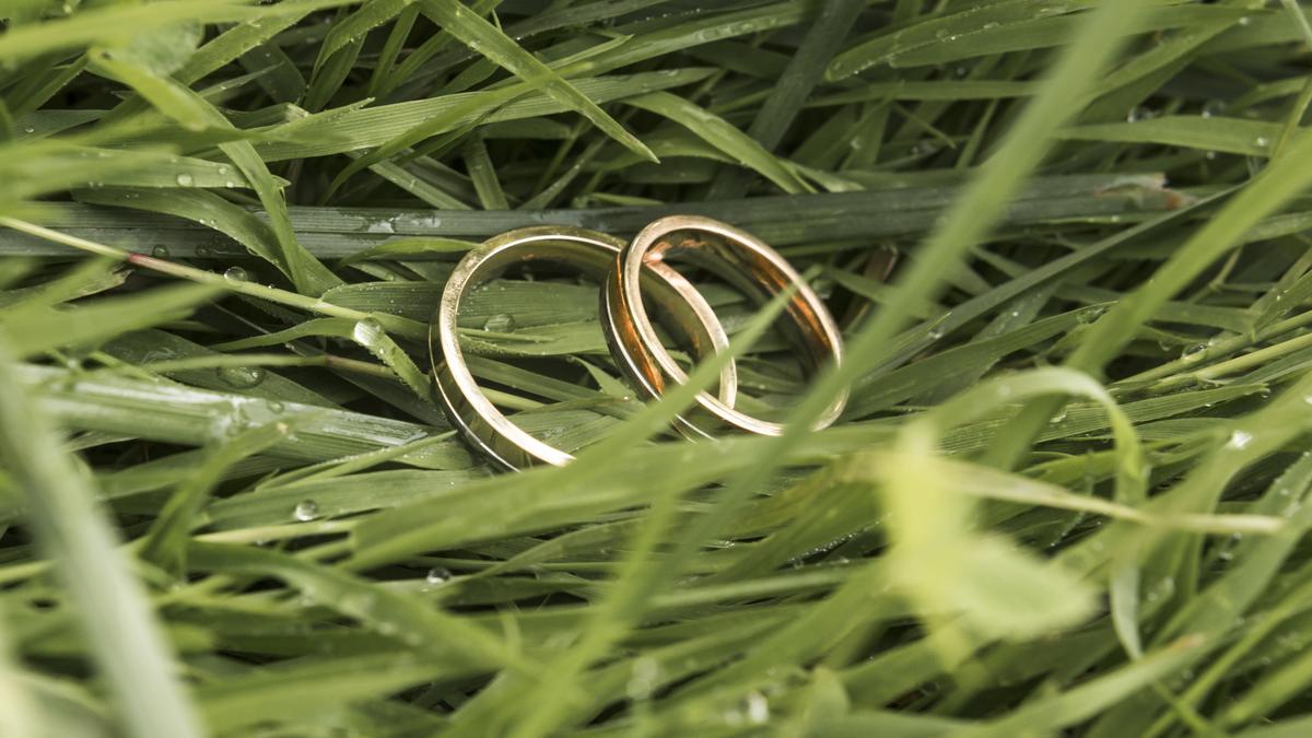 Обручальные кольца в траве Обручальные кольца в траве