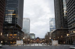 Жить — вредно? Да, если живёте в городе: почему организм реагирует на шум и свет, как на встречу со львом