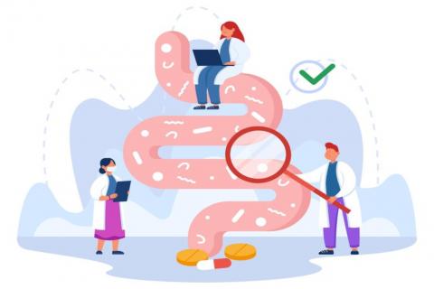 Как микробиом влияет на наши решения?