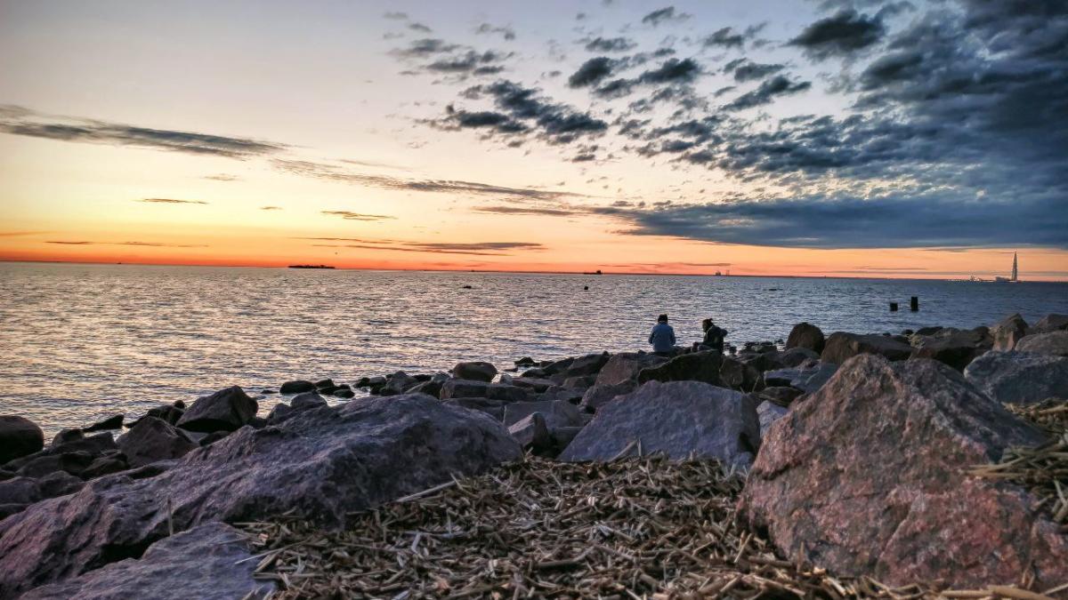 Вид на Финский залив со стороны Макаровца