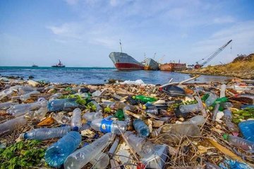 Количество пластикового мусора в океане неотвратимо увеличивается