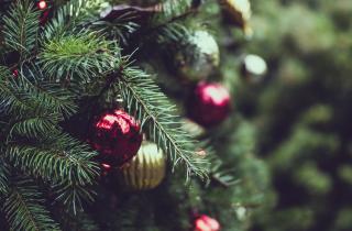 Веселье и приключения ждут в Кремлёвском дворце: дети Чукотки отправятся на новогодние ёлки в Москву