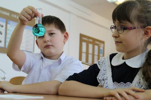 Не поймёшь — не сдашь: в российских школах может появиться предмет, меняющий всё