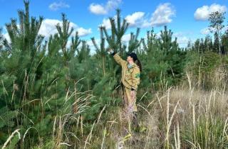 В Карелии завершается лесовосстановительный сезон: 93,5% от плана уже выполнено — работы продолжаются