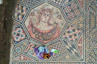 Римская мозаика III века раскрывает редкие мифологические мотивы