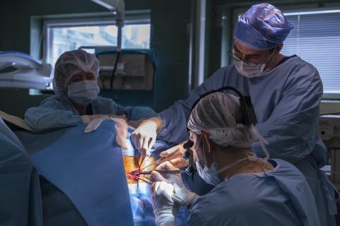 Нейрохирург меняет наш взгляд на душу и сознание: как люди могут жить без мозга
