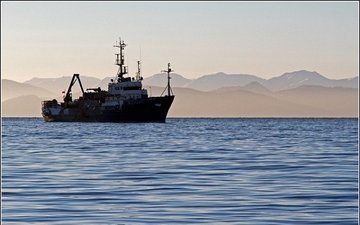 В Канаде растет смертность на рыбопромысловом производстве
