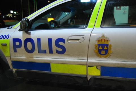 В США полицейский автомобиль Золотой орёл связывают с гибелью более 40 человек