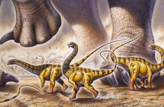 Учёные нашли следы окраски у древних зауроподов — Бристольский университет