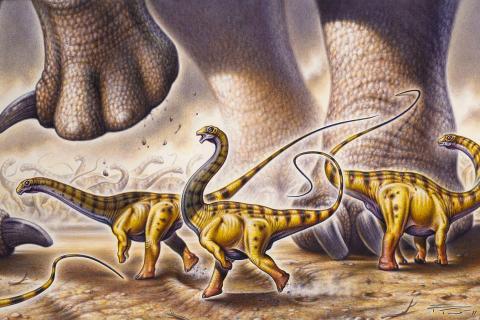 Учёные нашли следы окраски у древних зауроподов — Бристольский университет