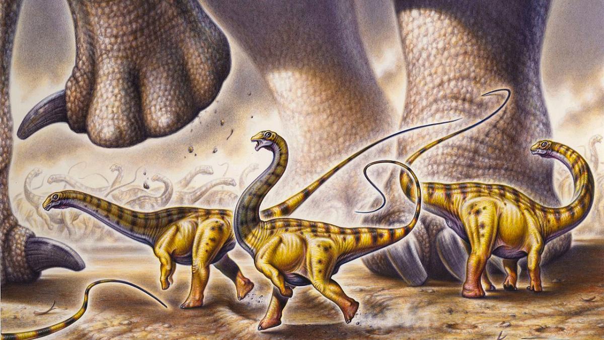 зауроподы, динозавры