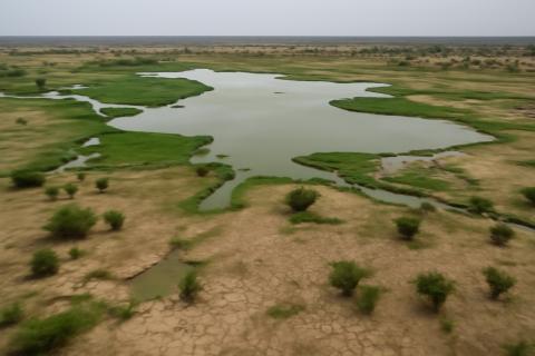 Засухи и пожары ускоряют деградацию лесов — Scientific Reports