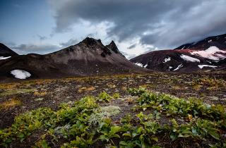 РГО и Аэрофлот создали онлайн-путеводитель по 10 регионам России