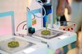 Ученые напечатали на 3D-принтере грибы, которые могут производить электричество Ученые напечатали на 3D-принтере грибы, которые могут производить электричество