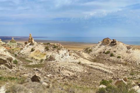 Экологи: план СССР по переброске сибирских рек в Аральское море грозил катастрофой