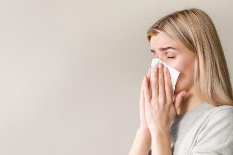 Специалисты по аллергии предлагают заменить мягкую мебель на легко очищаемую