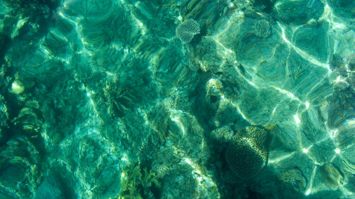 морская вода