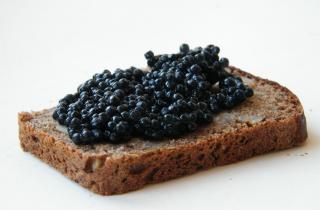 Первые письменные упоминания чёрной икры относят к III веку до н.э. — Едим Дома