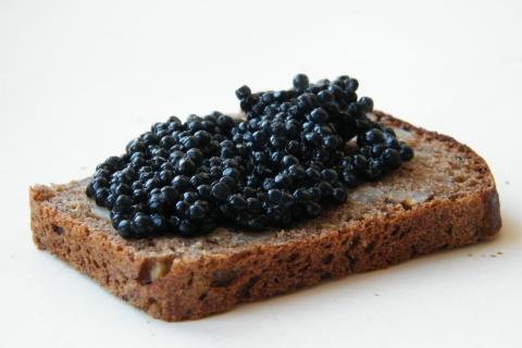 Первые письменные упоминания чёрной икры относят к III веку до н.э. — Едим Дома