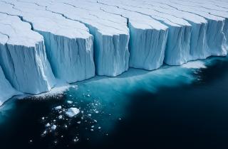 Тысячи идеальных кругов на дне океана сбили учёных с толку — пока не выяснилось, кто их сделал