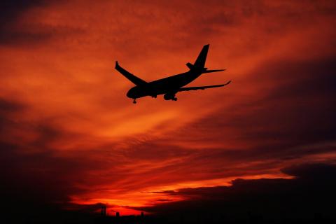 У Turkish Airlines произошёл очередной громкий инцидент с багажом