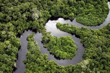 Леса Амазонки не в состоянии идти в ногу с изменением климата