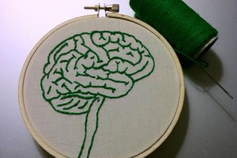 Регулярное движение снижает риск когнитивных нарушений — SELF