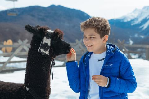 Семейный отдых в горах: как успеть провести весенние каникулы на Красной Поляне