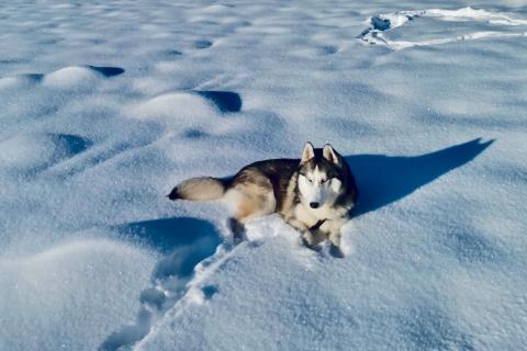 В Коми ожидается усиление морозов к концу года — Коми ЦГМС
